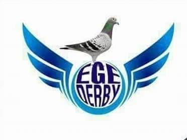 Egederby Columbodrum 