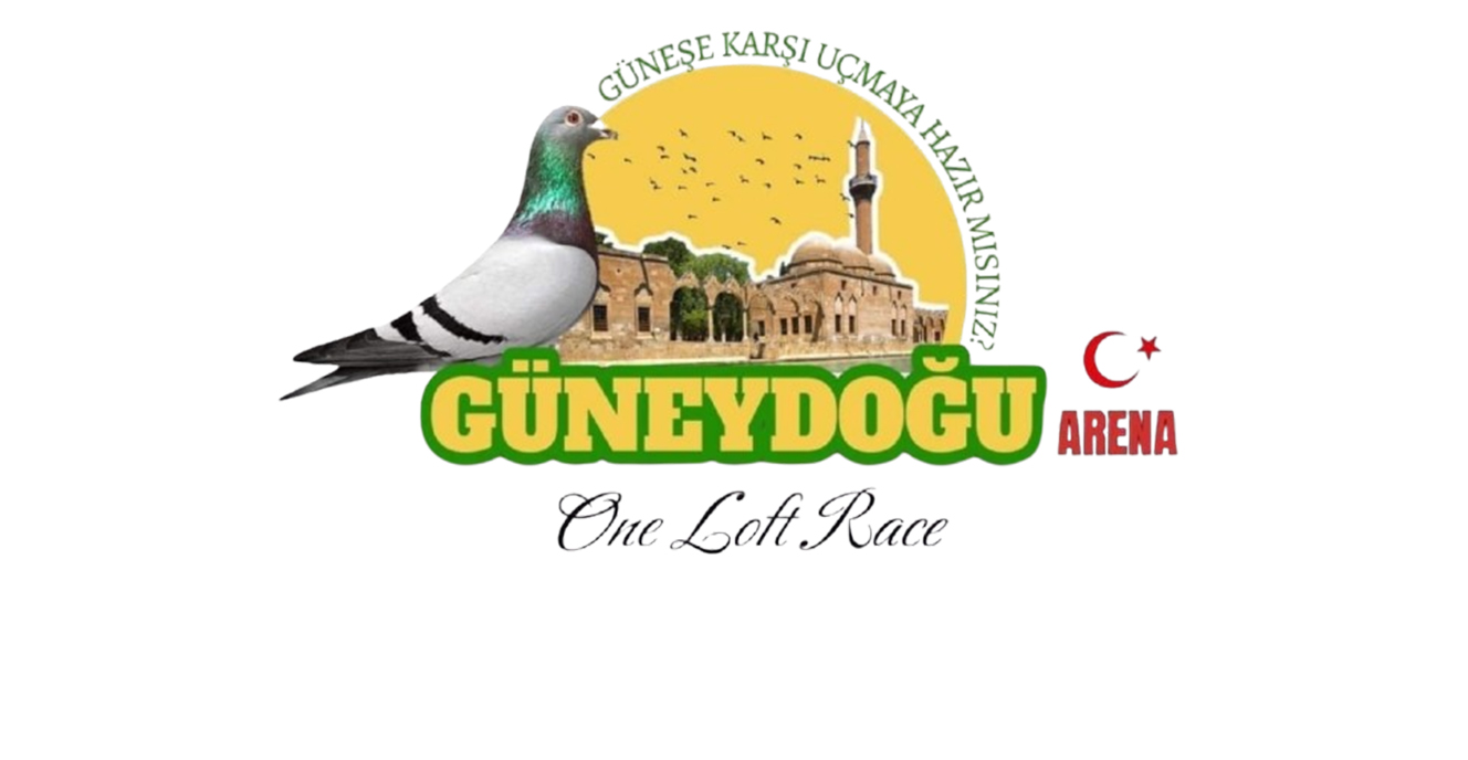 Güneydoğu Arena OLR Season 2025 – FİNAL