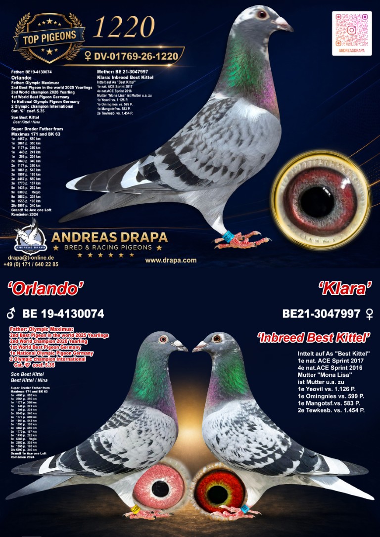 Lot 08: DV01769-26-1220