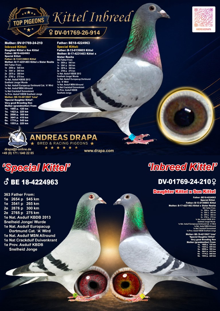 Lot 07: DV01769-26-914