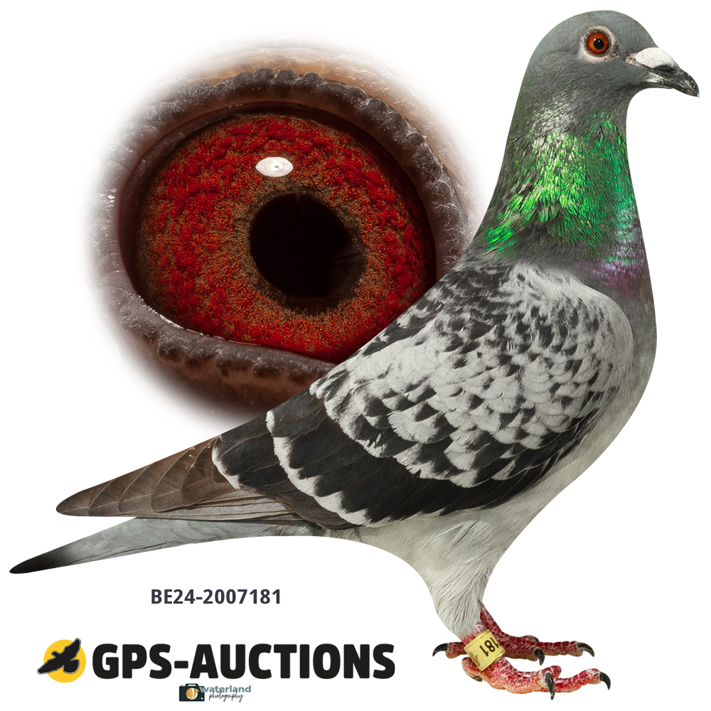 Lot 03: BE24-2007181