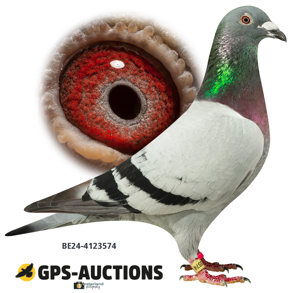Lot 11: BE24-4123574