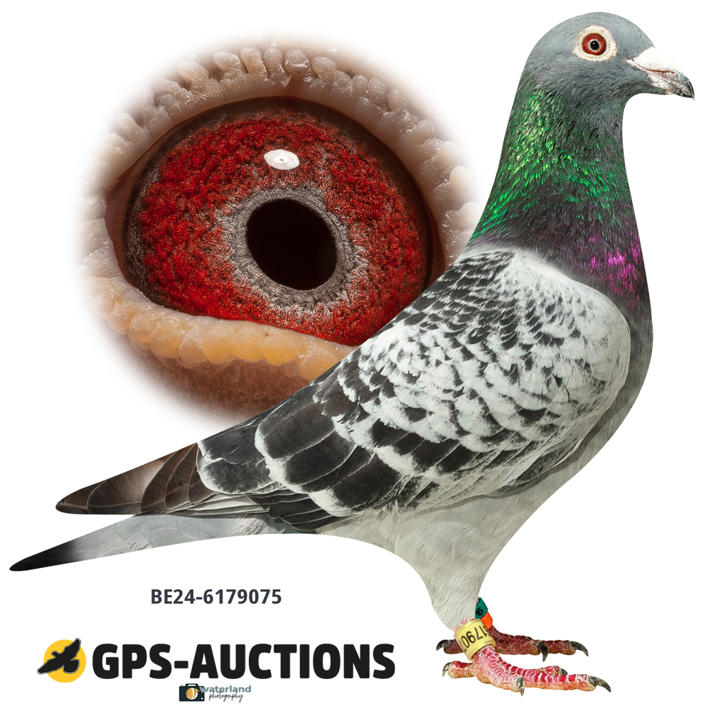 Lot 03: BE24-6179075