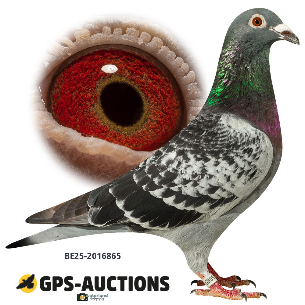Lot 06: BE25-2016865