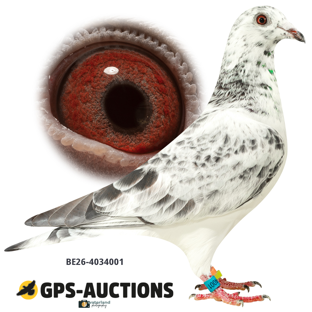 Lot 01: BE26-4034001