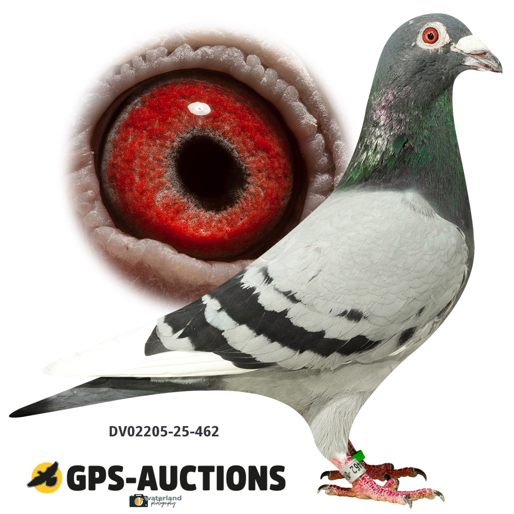 Lot 09: DV02205-25-462
