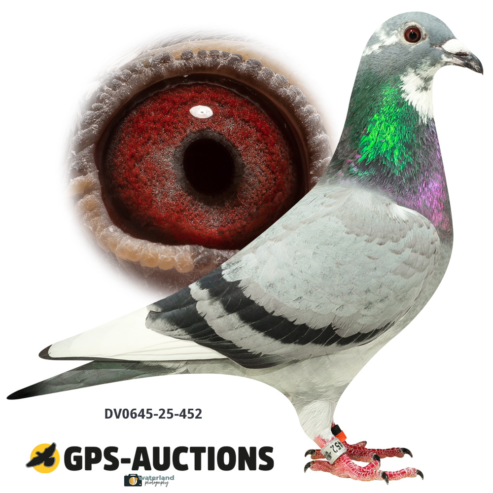 Lot 08: DV0645-25-452