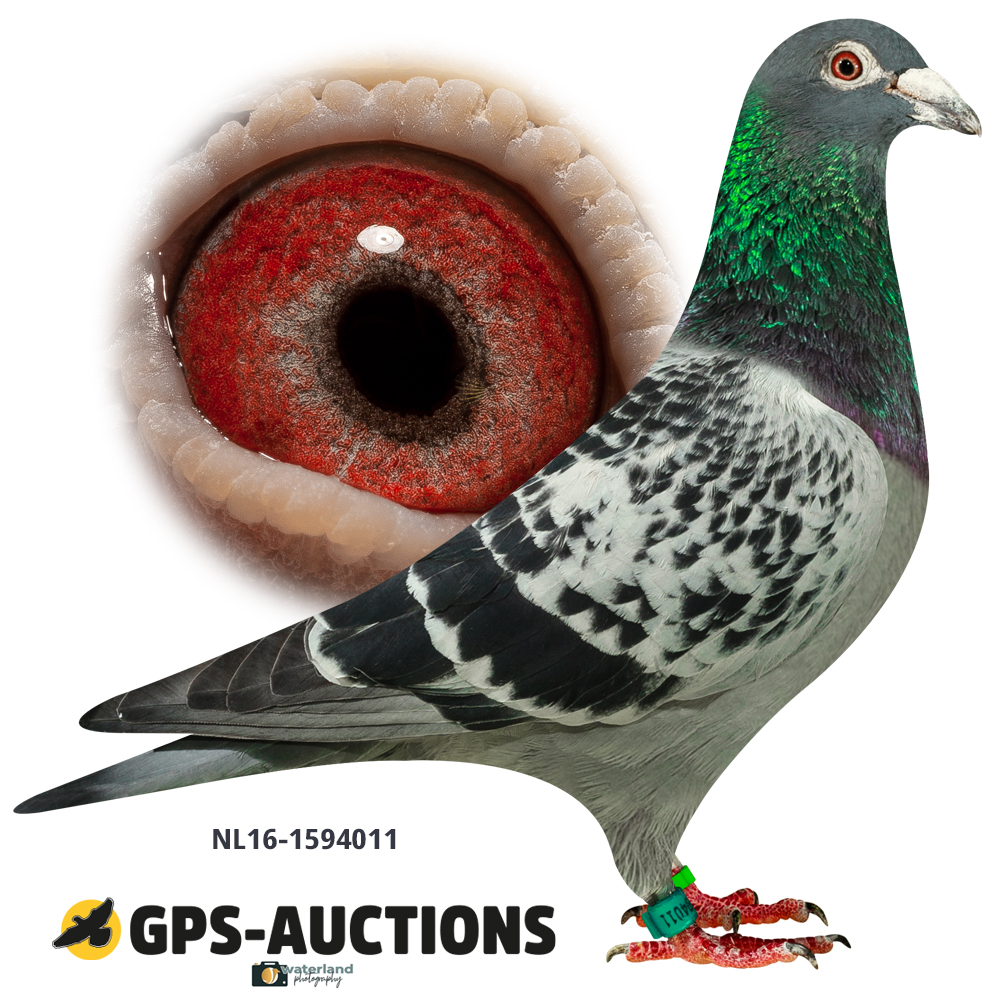 Lot 02: NL16-1594011