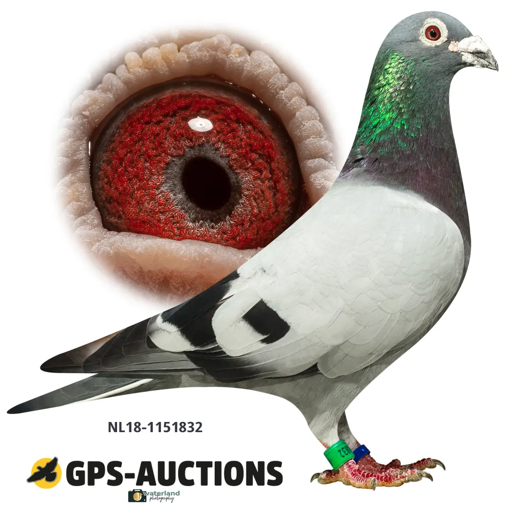 Lot 03: NL18-1151832