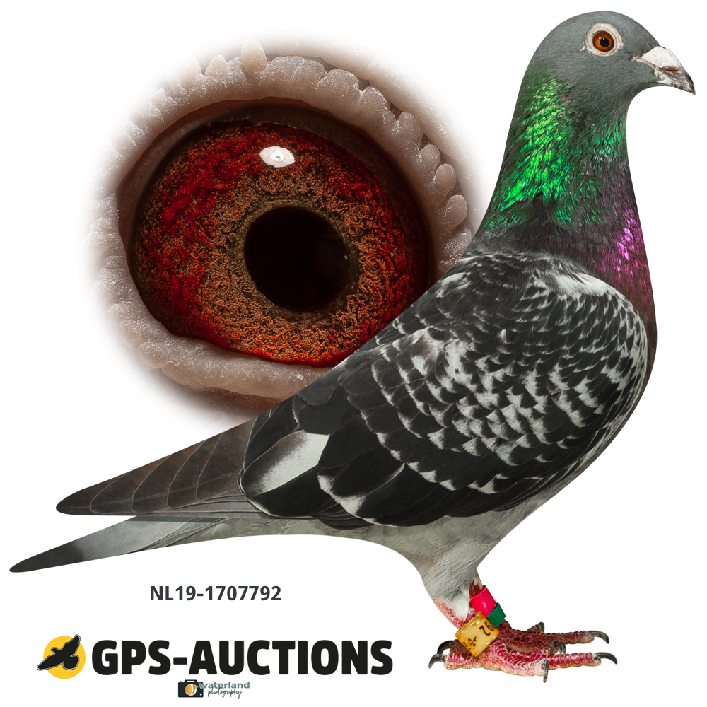 Lot 02: NL19-1707792