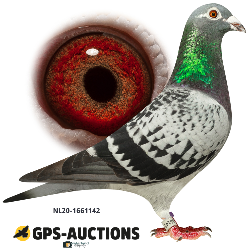 Lot 02: NL20-1166142