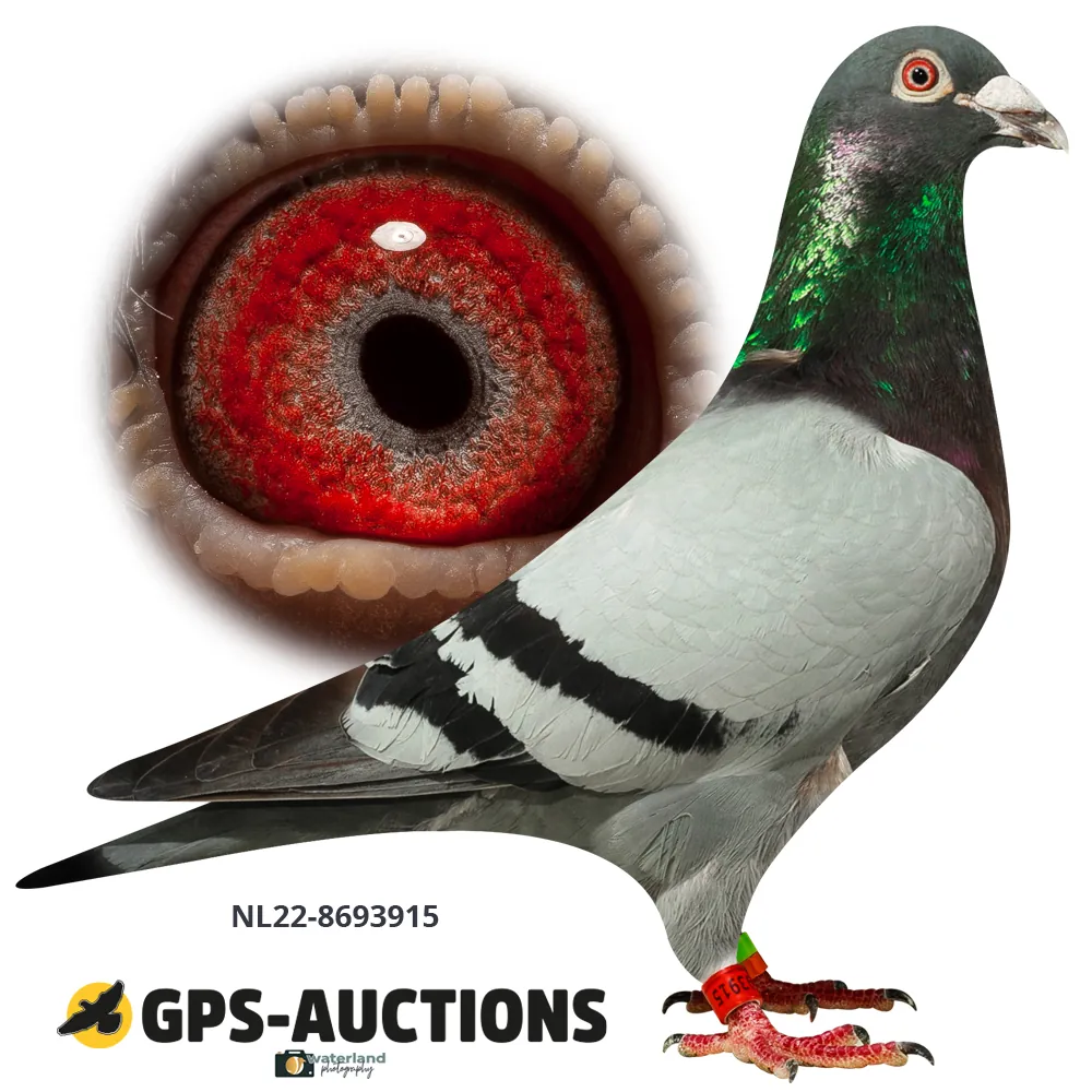 Lot 04: NL22-8693915