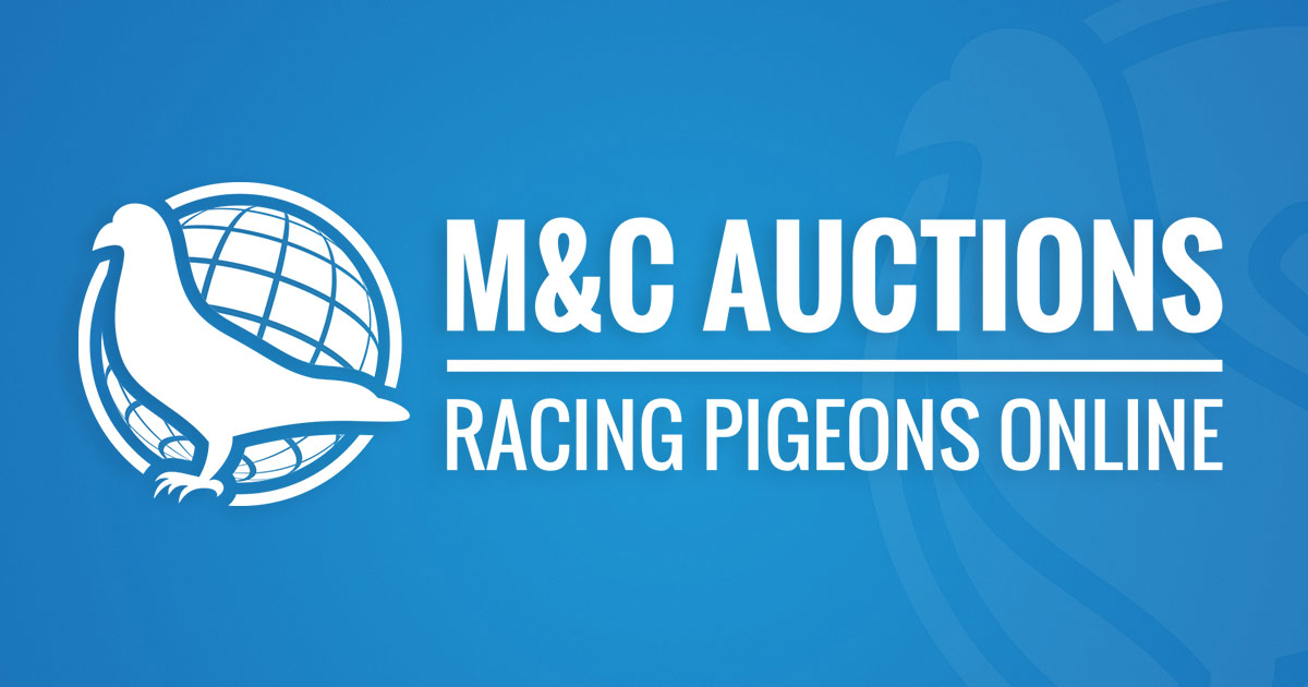 M&C Auctions – Racing Pigeons Online
